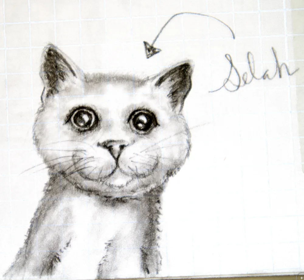 Selah — original character sketch